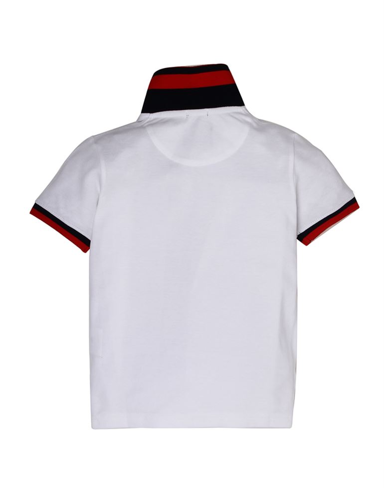 Indian Terrain Boys Casual Wear Solid Polo T-Shirt
